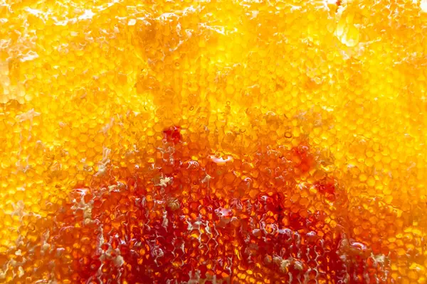 stock image Drop of bee honey drip from hexagonal honeycombs filled with golden nectar, honeycombs summer composition consisting of drop natural honey, drip on wax frame bee, drop of bee honey drip in honeycombs