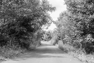 Renkli arka planda güzel boş asfalt yol, kırsal alandan geçen yeni boş asfalt yol, yeşillik kırsalında hız arabası için boş asfalt yol.