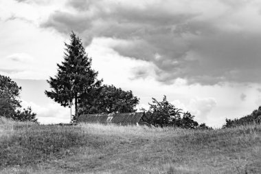 Renkli doğal arka plan üzerine köy çayırında güzel bir ufuk manzarası, uzun çayırdaki çayır köyünde ufuk manzarası, hayvan için köy otlağındaki ufuk doğa manzarası.