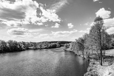 Kırsal kesimde yetişen güzel ot sazları renkli arka planda yetişiyor. Islak sularda vahşi ot bataklık kamışları, doğadan gelen uzun çimen kamışları.