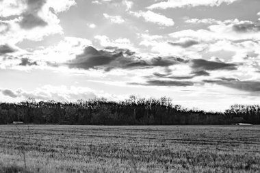 Organik hasat için büyük boş tarla fotoğrafları, gökyüzü arka planında hasat için büyük boş tarım tarlalarından oluşan fotoğraf, bu sonbahar mevsiminde hasat için boş tarla.