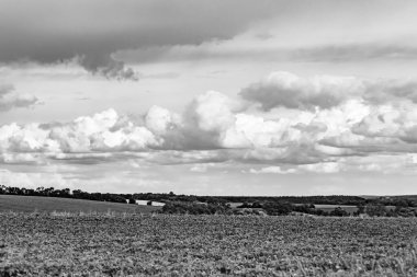 Renkli doğal arka plan üzerine köy çayırında güzel bir ufuk manzarası, uzun çayırdaki çayır köyünde ufuk manzarası, hayvan için köy otlağındaki ufuk doğa manzarası.