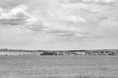 Renkli doğal arka plan üzerine köy çayırında güzel bir ufuk manzarası, uzun çayırdaki çayır köyünde ufuk manzarası, hayvan için köy otlağındaki ufuk doğa manzarası.