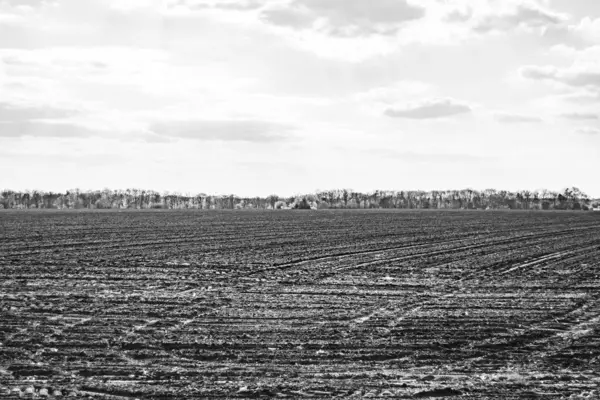 Organik hasat için büyük boş tarla fotoğrafları, gökyüzü arka planında hasat için büyük boş tarım tarlalarından oluşan fotoğraf, bu sonbahar mevsiminde hasat için boş tarla.