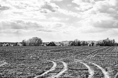 Organik hasat için büyük boş tarla fotoğrafları, gökyüzü arka planında hasat için büyük boş tarım tarlalarından oluşan fotoğraf, bu sonbahar mevsiminde hasat için boş tarla.