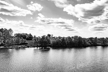 Kırsal kesimde yetişen güzel ot sazları renkli arka planda yetişiyor. Islak sularda vahşi ot bataklık kamışları, doğadan gelen uzun çimen kamışları.
