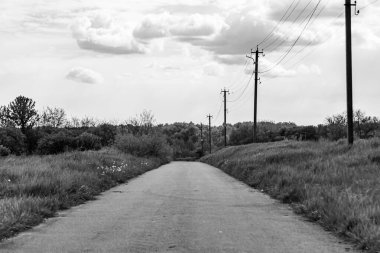 Renkli doğal arka plan üzerine köy çayırında güzel bir ufuk manzarası, uzun çayırdaki çayır köyünde ufuk manzarası, hayvan için köy otlağındaki ufuk doğa manzarası.