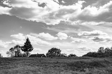 Renkli doğal arka plan üzerine köy çayırında güzel bir ufuk manzarası, uzun çayırdaki çayır köyünde ufuk manzarası, hayvan için köy otlağındaki ufuk doğa manzarası.