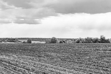 Organik hasat için büyük boş tarla fotoğrafları, gökyüzü arka planında hasat için büyük boş tarım tarlalarından oluşan fotoğraf, bu sonbahar mevsiminde hasat için boş tarla.
