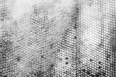 Altın nektarla dolu altıgen bal peteklerinden arı damlayan bal damlası, bal peteği yaz kompozisyonu doğal bal damlası, balmumu çerçeve arısına damlayan bal damlası, bal peteğine damlayan bal damlası