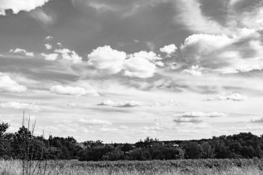 Renkli doğal arka plan üzerine köy çayırında güzel bir ufuk manzarası, uzun çayırdaki çayır köyünde ufuk manzarası, hayvan için köy otlağındaki ufuk doğa manzarası.