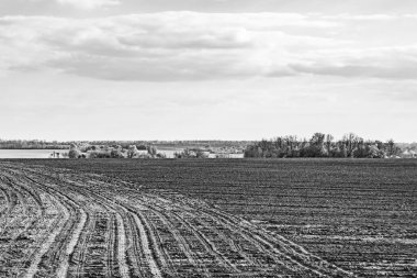Organik hasat için büyük boş tarla fotoğrafları, gökyüzü arka planında hasat için büyük boş tarım tarlalarından oluşan fotoğraf, bu sonbahar mevsiminde hasat için boş tarla.