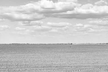 Organik hasat için büyük boş tarla fotoğrafları, gökyüzü arka planında hasat için büyük boş tarım tarlalarından oluşan fotoğraf, bu sonbahar mevsiminde hasat için boş tarla.
