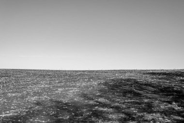 Organik hasat için büyük boş tarla fotoğrafları, gökyüzü arka planında hasat için büyük boş tarım tarlalarından oluşan fotoğraf, bu sonbahar mevsiminde hasat için boş tarla.