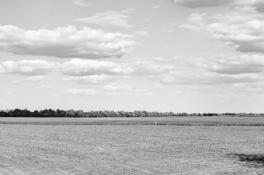 Organik hasat için büyük boş tarla fotoğrafları, gökyüzü arka planında hasat için büyük boş tarım tarlalarından oluşan fotoğraf, bu sonbahar mevsiminde hasat için boş tarla.