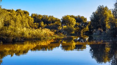 Nehir ve gölü olan güzel bir manzara.