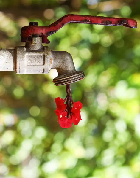 Su damlasında çeşme