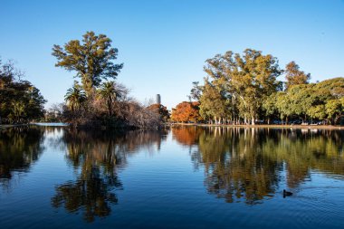 Göl ve ağaçlar Parkta bir gölet