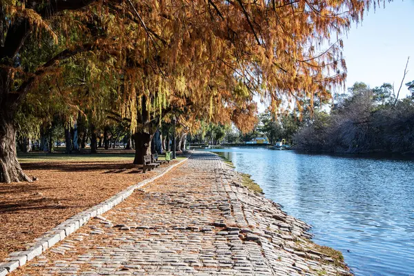 Ağaçlı bir nehir ve parkta bir köprü.