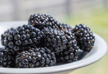 Tabaktaki taze böğürtlenler, sağlıklı tarifler ve çarpıcı yemek fotoğrafçılığı için mükemmel.