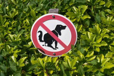 Etrafını çevreleyen yemyeşil alanda hiçbir köpek atığı göze çarpmaz diyen açık bir tabela.