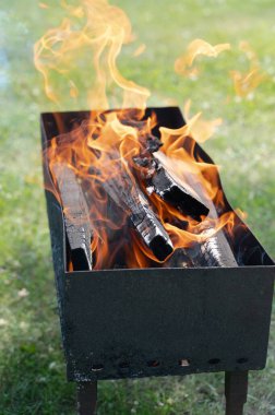 Izgarada yanan canlı bir kamp ateşi, açık hava yemeklerinin ve yaz toplantılarının özünü gözler önüne seriyor..