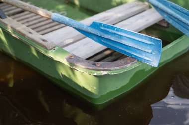 Üzerinde dinlenen iki mavi küreği olan yeşil bir tekne var, suda eğlenceli bir maceraya hazır.