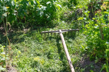 Bir bahçe tırmığı sessizce yemyeşil bitki örtüsüne dayanır. Bu da onu ihtiraslı bahçıvanlar için ideal kılar.