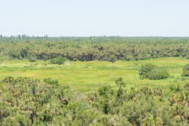 Açık mavi gökyüzünün altında geniş bir astropikal ormanı gösteren manzara, ufka uzanan yeşil ağaçların olduğu yüksek bir noktadan çekildi. 