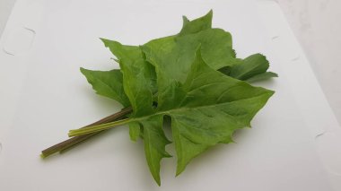 Taze portakalı kapat