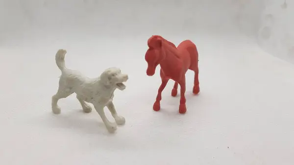 oyuncak köpek ve köpek