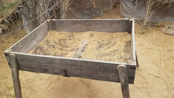 Bir sürü saman dolu eski ahşap kutu.