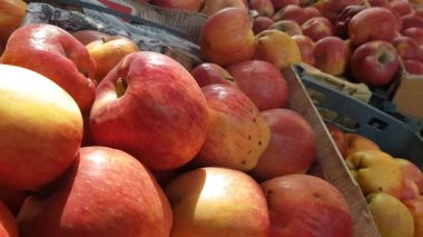 Markette satılık olgun elmalar.