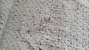 Beton duvar desenli arka plan