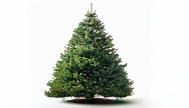 Beyaz arkaplanda izole edilmiş noel ağacı