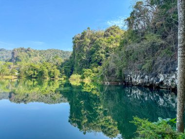 Tropikal bitki örtüsüyle çevrili göl