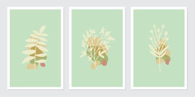 Botanik poster sanat vektörü seti. Çerçeveli duvar baskıları, tuval baskıları, poster, ev dekorasyonu için soyut Bitki Sanatı tasarımı