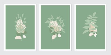 Botanik poster sanat vektörü seti. Çerçeveli duvar baskıları, tuval baskıları, poster, ev dekorasyonu için soyut Bitki Sanatı tasarımı