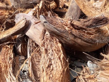 Kurutulmuş hindistan cevizi lifleri genellikle yakacak odun için kullanılır ve ayrıca ip gibi el sanatları yapmak için de kullanılabilir..