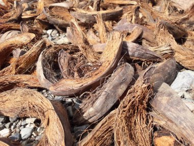 Kurutulmuş hindistan cevizi lifleri genellikle yakacak odun için kullanılır ve ayrıca ip gibi el sanatları yapmak için de kullanılabilir..