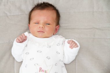 Gri bir battaniyeye uzanmış tatlı bir kızın portresi. Yüksek kalite fotoğraf