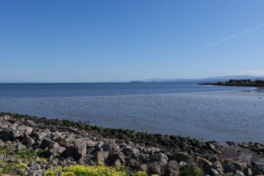 Sahilden güzel okyanus manzarası. Arka planda yuvarlanan tepeler ve mavi bir gökyüzü.