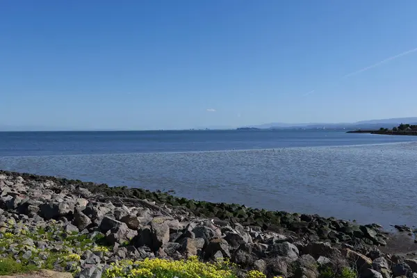Sahilden güzel okyanus manzarası. Arka planda yuvarlanan tepeler ve mavi bir gökyüzü.