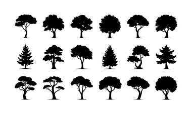 18 siluet ağaç silueti ikonu seti. Ağaç hattı çizim seti, yan görünüm, grafik ağaçları kümesi mimari ve manzara tasarımı için ana hatlar sembolü.