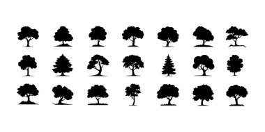 Bir grup ağaç silueti. Farklı doğal bölgelerdeki ağaçlar, vektör çizimleri. Doğa Ağacı Silüeti Koleksiyonu, Beyaz Arkaplanda Ağaç Silüeti - Vektör Sanat EPS