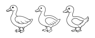 Renk Kitapları İçin Sevimli Ev Ördeğinin Özeti