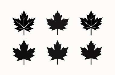  Kanada Kimliği, Sonbahar Mevsimi Temaları, Doğa Grafikleri ve Eko Tasarım Projeleri için Maple Leaf Silhouette Simgeleri