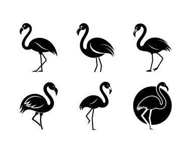 Flamingo Siluet Tropikal, Vahşi Yaşam ve Yaz Temalı Tasarımlar Simgeleri