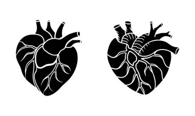 Tıp, Biyoloji ve Sağlık Eğitimi İçin Anatomik İnsan Kalbi Silüet Vektör Simgeleri
