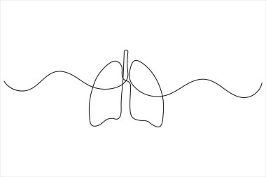 Akciğerlerin kesintisiz çizimi beyaz arka planda izole edilmiş tıbbi anatomik organ